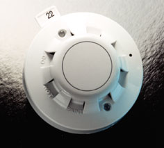 Discovery Optical Detector